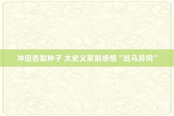 冲田杏梨种子 太史义冢前感悟“班马异同”