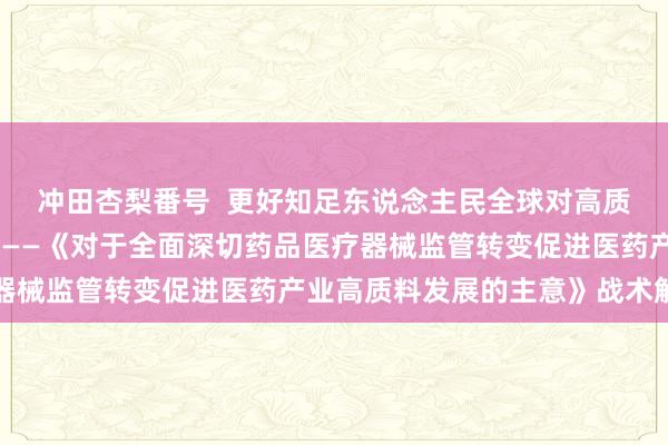 冲田杏梨番号  更好知足东说念主民全球对高质料药品医疗器械的需求——《对于全面深切药品医疗器械监管转变促进医药产业高质料发展的主意》战术解读