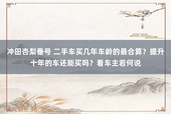 冲田杏梨番号 二手车买几年车龄的最合算？提升十年的车还能买吗？看车主若何说