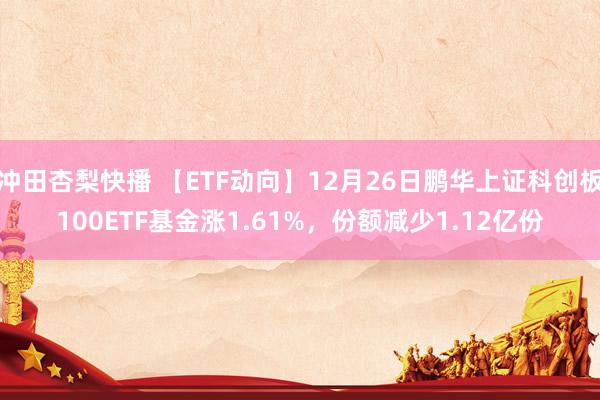 冲田杏梨快播 【ETF动向】12月26日鹏华上证科创板100ETF基金涨1.61%，份额减少1.12亿份