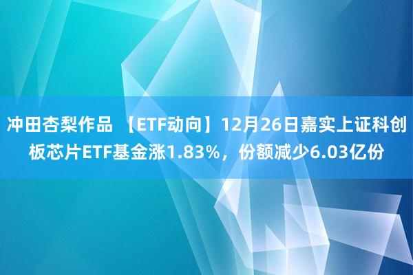 冲田杏梨作品 【ETF动向】12月26日嘉实上证科创板芯片ETF基金涨1.83%，份额减少6.03亿份