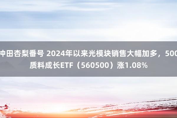 冲田杏梨番号 2024年以来光模块销售大幅加多，500质料成长ETF（560500）涨1.08%