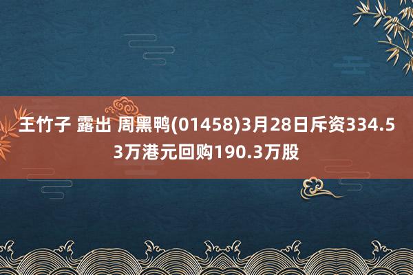 王竹子 露出 周黑鸭(01458)3月28日斥资334.53万港元回购190.3万股