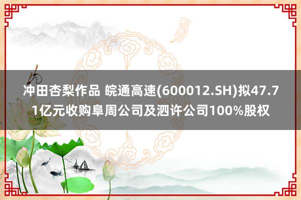 冲田杏梨作品 皖通高速(600012.SH)拟47.71亿元收购阜周公司及泗许公司100%股权