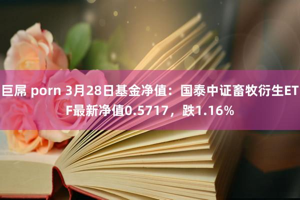 巨屌 porn 3月28日基金净值：国泰中证畜牧衍生ETF最新净值0.5717，跌1.16%