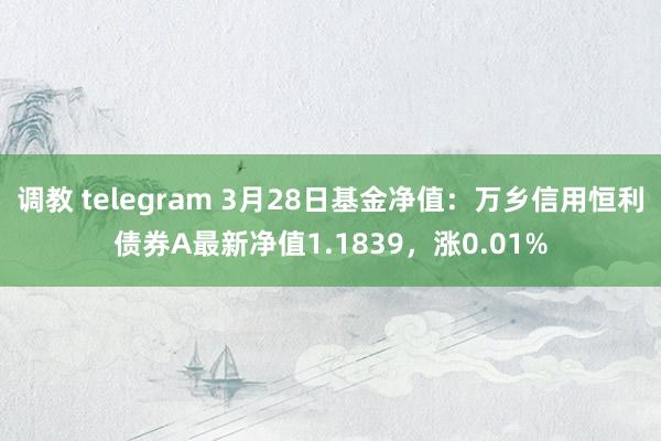 调教 telegram 3月28日基金净值：万乡信用恒利债券A最新净值1.1839，涨0.01%