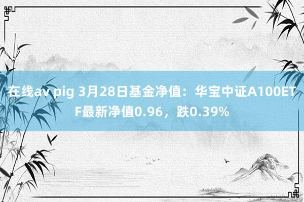 在线av pig 3月28日基金净值：华宝中证A100ETF最新净值0.96，跌0.39%