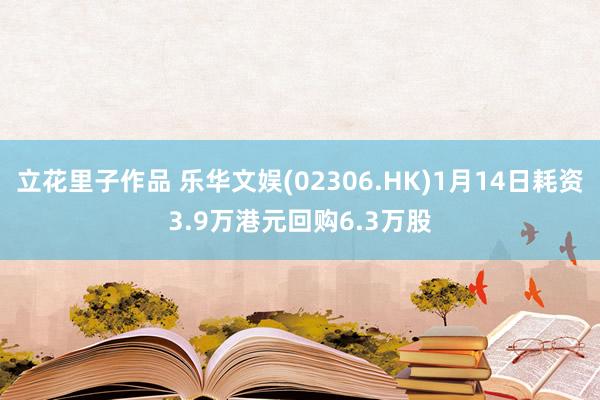 立花里子作品 乐华文娱(02306.HK)1月14日耗资3.9万港元回购6.3万股