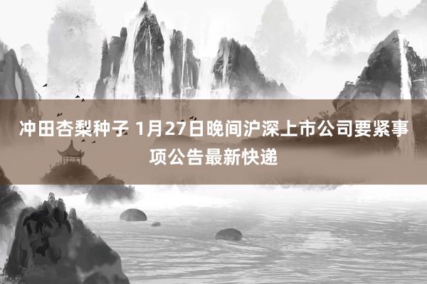 冲田杏梨种子 1月27日晚间沪深上市公司要紧事项公告最新快递
