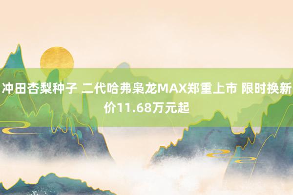 冲田杏梨种子 二代哈弗枭龙MAX郑重上市 限时换新价11.68万元起