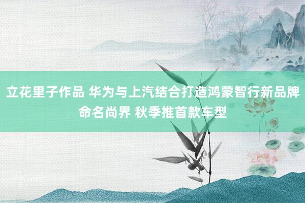 立花里子作品 华为与上汽结合打造鸿蒙智行新品牌命名尚界 秋季推首款车型