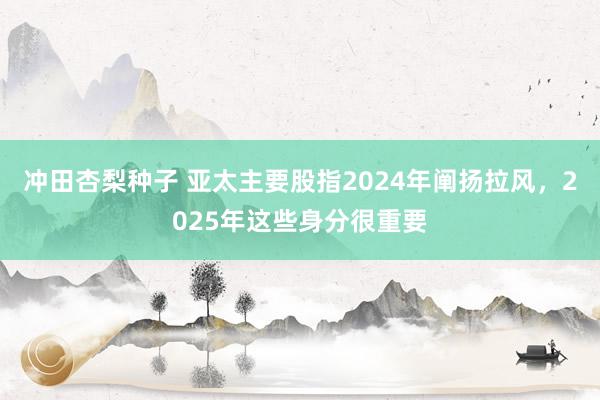 冲田杏梨种子 亚太主要股指2024年阐扬拉风，2025年这些身分很重要