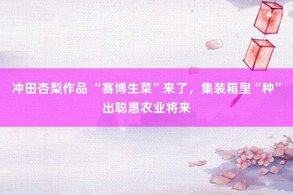 冲田杏梨作品 “赛博生菜”来了，集装箱里“种”出聪惠农业将来