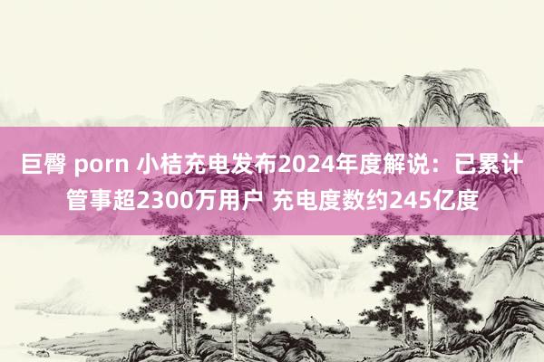 巨臀 porn 小桔充电发布2024年度解说：已累计管事超2300万用户 充电度数约245亿度