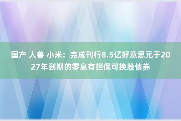 国产 人兽 小米：完成刊行8.5亿好意思元于2027年到期的零息有担保可换股债券
