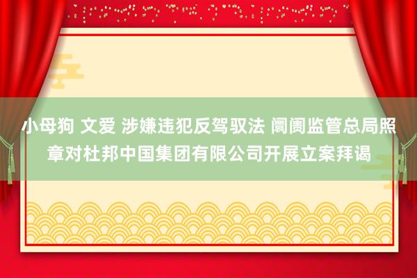 小母狗 文爱 涉嫌违犯反驾驭法 阛阓监管总局照章对杜邦中国集团有限公司开展立案拜谒