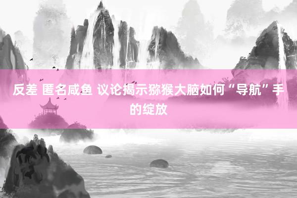 反差 匿名咸鱼 议论揭示猕猴大脑如何“导航”手的绽放