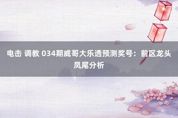 电击 调教 034期威哥大乐透预测奖号：前区龙头凤尾分析