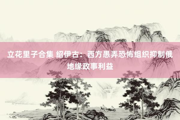 立花里子合集 绍伊古：西方愚弄恐怖组织抑制俄地缘政事利益