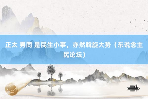 正太 男同 是民生小事，亦然斡旋大势（东说念主民论坛）
